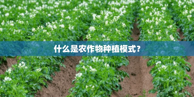 什么是农作物种植模式？