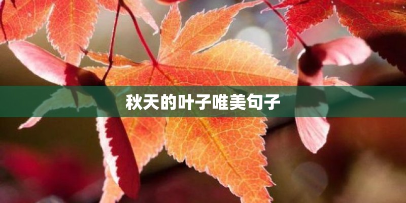 秋天的叶子唯美句子