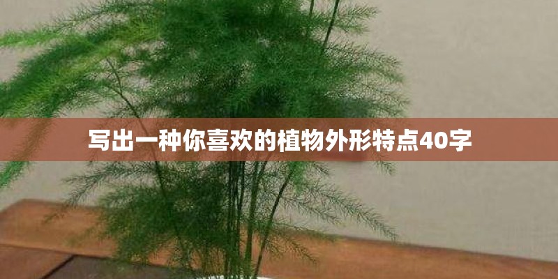 写出一种你喜欢的植物外形特点40字