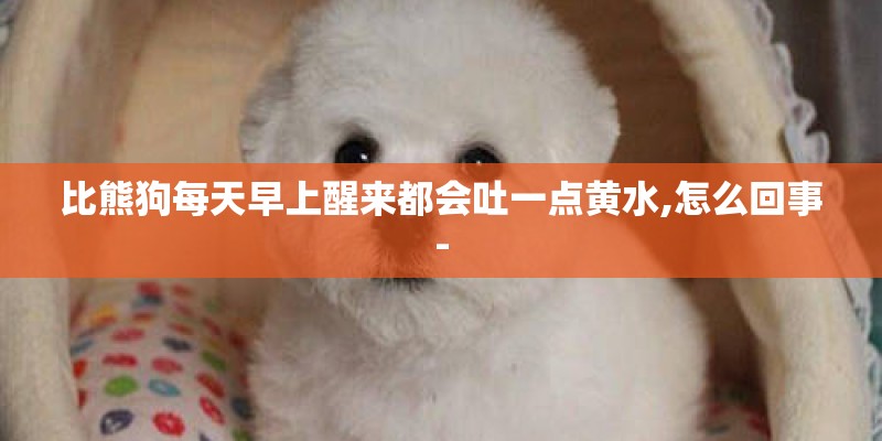 比熊狗每天早上醒来都会吐一点黄水,怎么回事-
