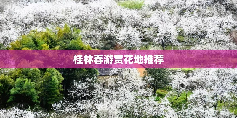 桂林春游赏花地推荐
