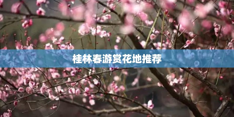 桂林春游赏花地推荐 桂林春游赏花地推荐