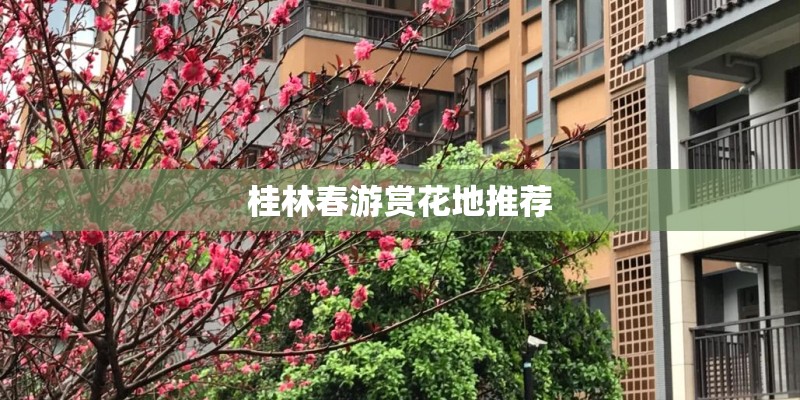 桂林春游赏花地推荐 桂林春游赏花地推荐