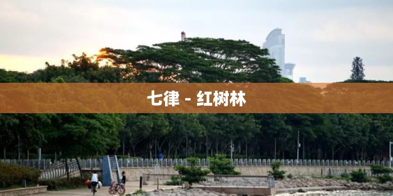 七律 - 红树林