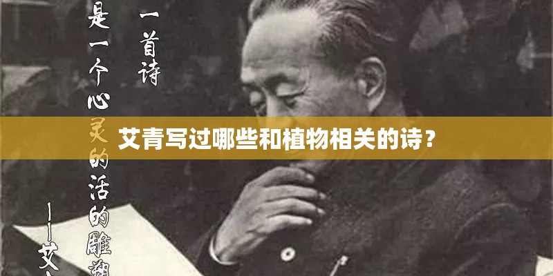 艾青写过哪些和植物相关的诗? 艾青写过哪些和植物相关的诗?