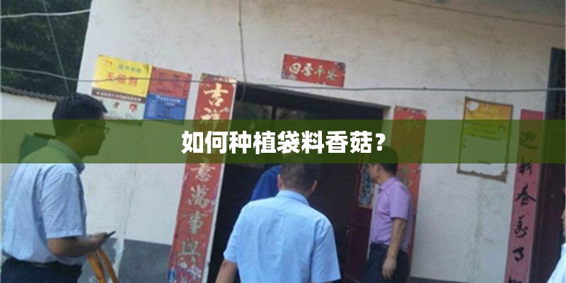 如何种植袋料香菇？