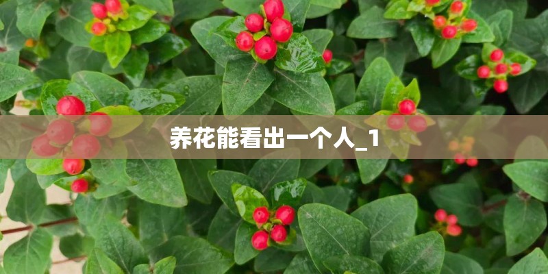 养花能看出一个人_1 养花能看出一个人_1