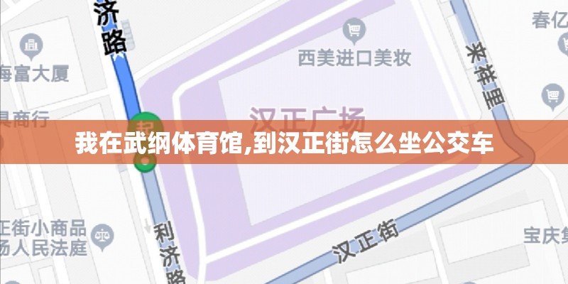我在武纲体育馆,到汉正街怎么坐公交车