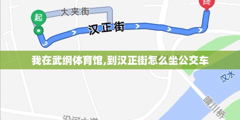 我在武纲体育馆,到汉正街怎么坐公交车 我在武纲体育馆,到汉正街怎么坐公交车