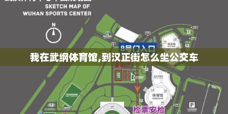 我在武纲体育馆,到汉正街怎么坐公交车 我在武纲体育馆,到汉正街怎么坐公交车
