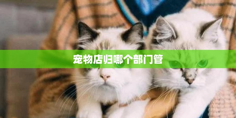 宠物店归哪个部门管