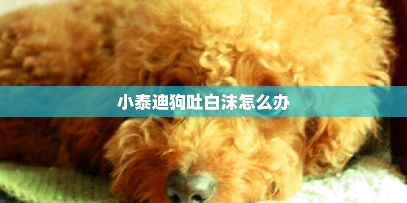 为了2500元起诉值得吗