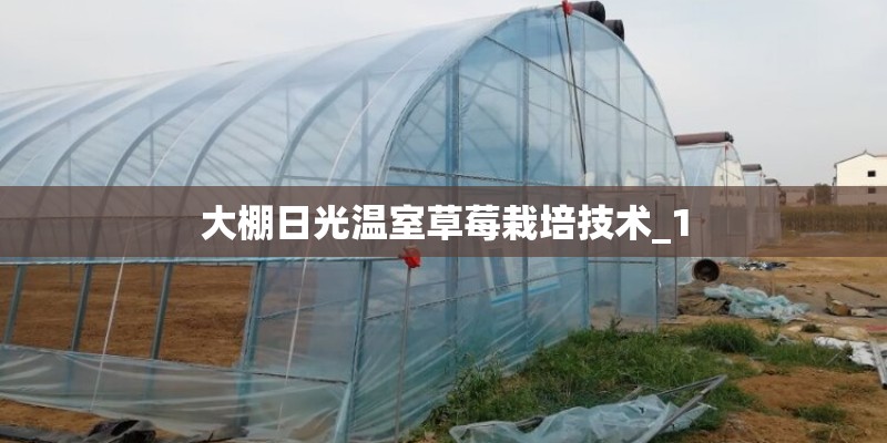 大棚日光温室草莓栽培技术_1 大棚日光温室草莓栽培技术_1