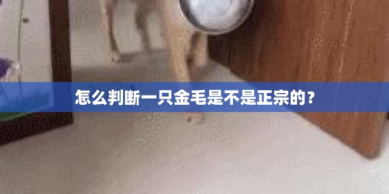 为了2500元起诉值得吗