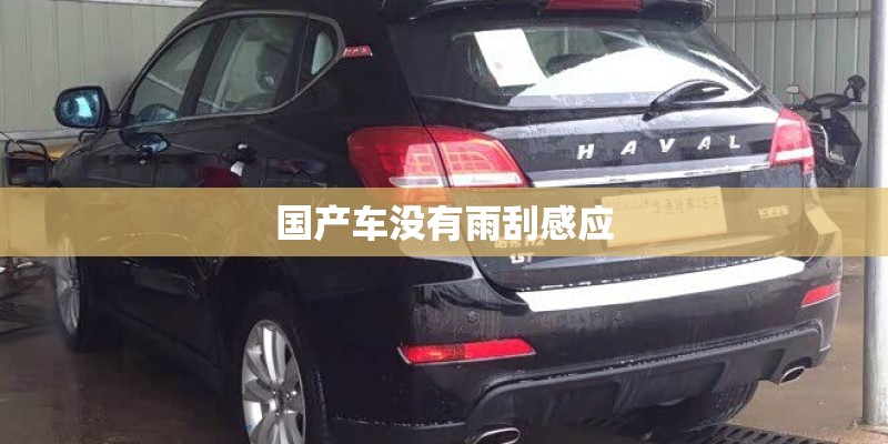 国产车没有雨刮感应