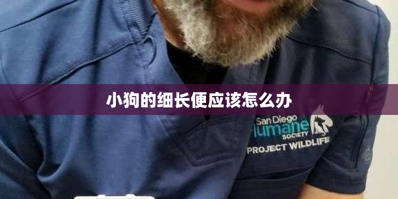 哈弗H6在中国有多火？