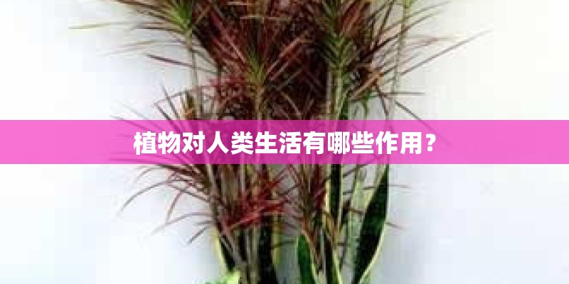 植物对人类生活有哪些作用？