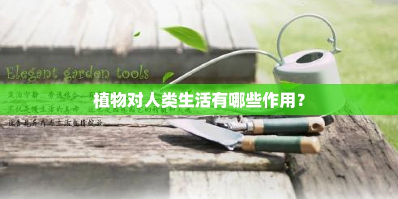 植物对人类生活有哪些作用? 植物对人类生活有哪些作用?