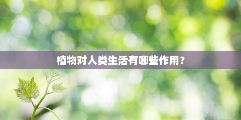 植物对人类生活有哪些作用? 植物对人类生活有哪些作用?