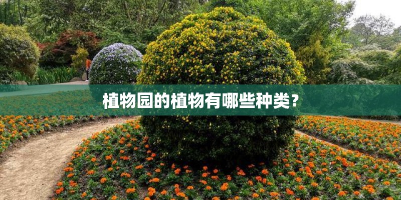 植物园的植物有哪些种类？