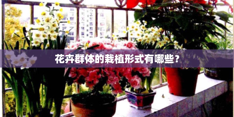 花卉群体的栽植形式有哪些? 花卉群体的栽植形式有哪些?