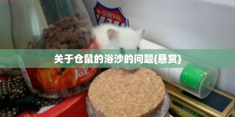 关于仓鼠的浴沙的问题{悬赏}