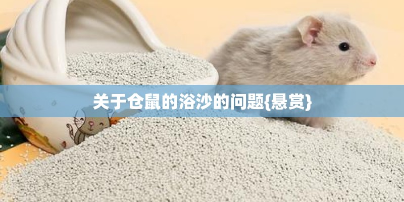 关于仓鼠的浴沙的问题{悬赏}