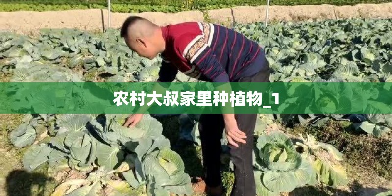 农村大叔家里种植物_1