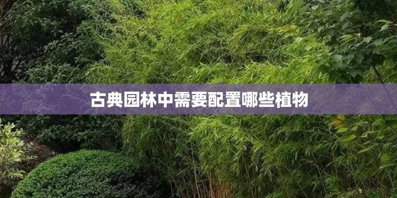 古典园林中需要配置哪些植物 古典园林中需要配置哪些植物