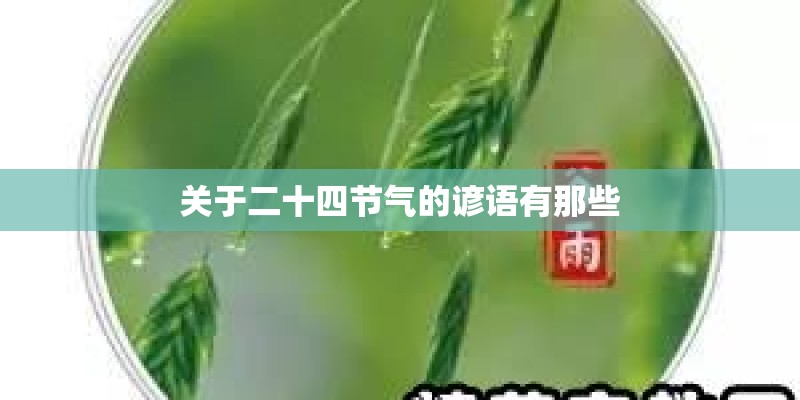 关于二十四节气的谚语有那些