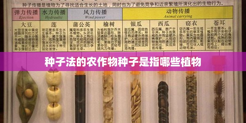 种子法的农作物种子是指哪些植物