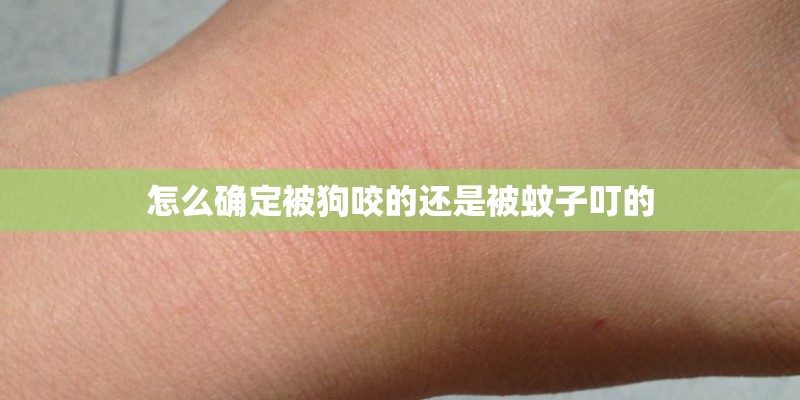 怎么确定被狗咬的还是被蚊子叮的 怎么确定被狗咬的还是被蚊子叮的
