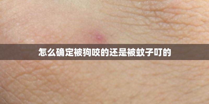 怎么确定被狗咬的还是被蚊子叮的 怎么确定被狗咬的还是被蚊子叮的