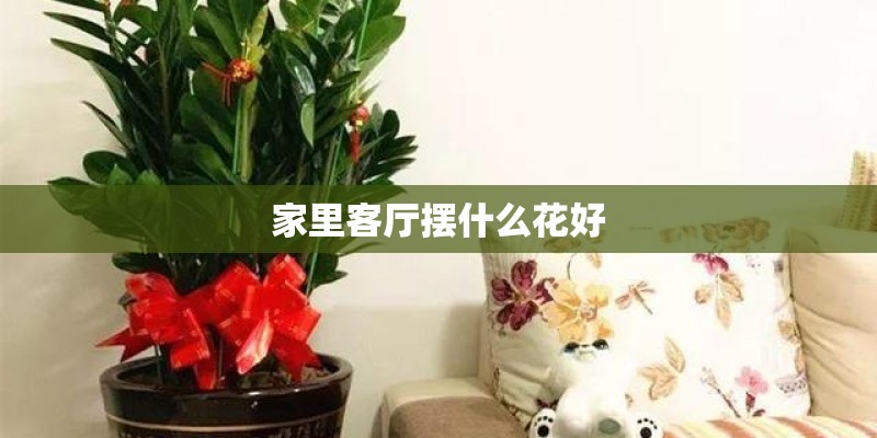 家里客厅摆什么花好 家里客厅摆什么花好