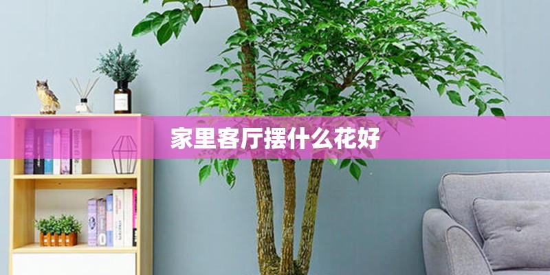 家里客厅摆什么花好 家里客厅摆什么花好