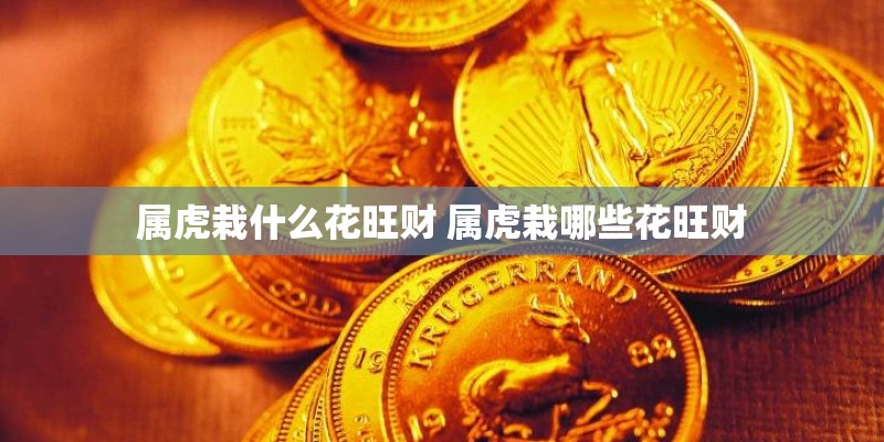 属虎栽什么花旺财 属虎栽哪些花旺财
