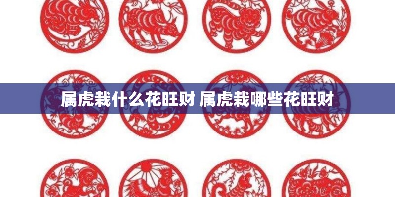 属虎栽什么花旺财 属虎栽哪些花旺财