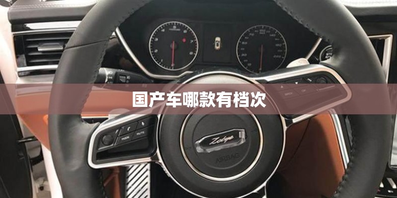 国产车哪款有档次