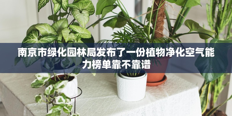 南京市绿化园林局发布了一份植物净化空气能力榜单靠不靠谱