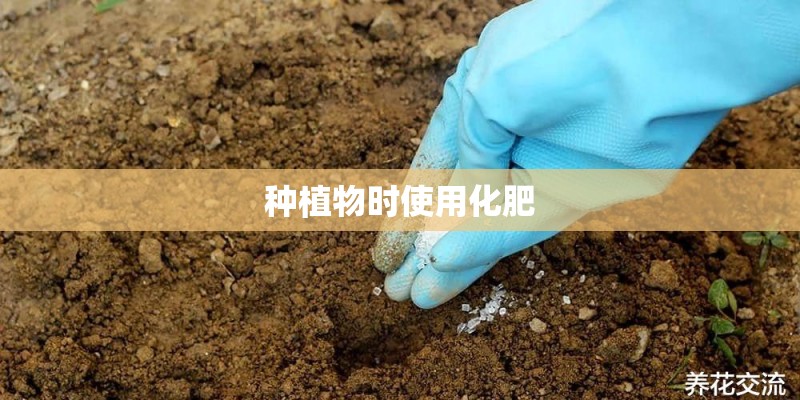 种植物时使用化肥 种植物时使用化肥