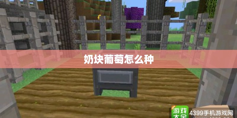 奶块葡萄怎么种