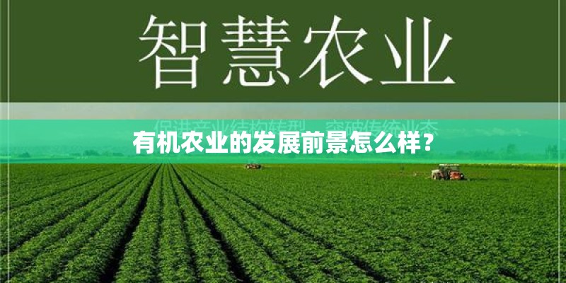 有机农业的发展前景怎么样？