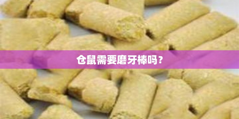 仓鼠需要磨牙棒吗？