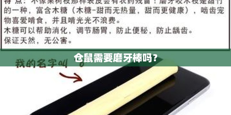 仓鼠需要磨牙棒吗？