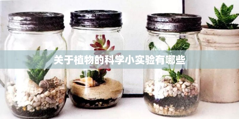 关于植物的科学小实验有哪些