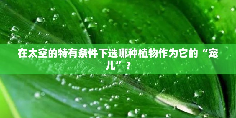 在太空的特有条件下选哪种植物作为它的“宠儿”？