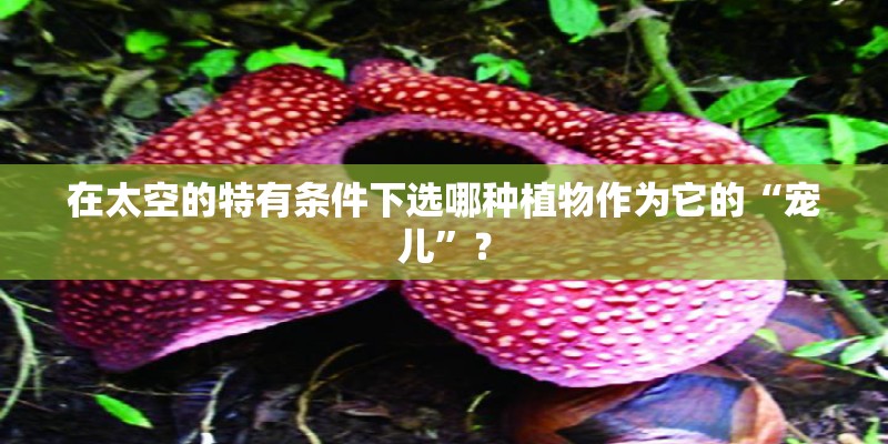 在太空的特有条件下选哪种植物作为它的“宠儿”？