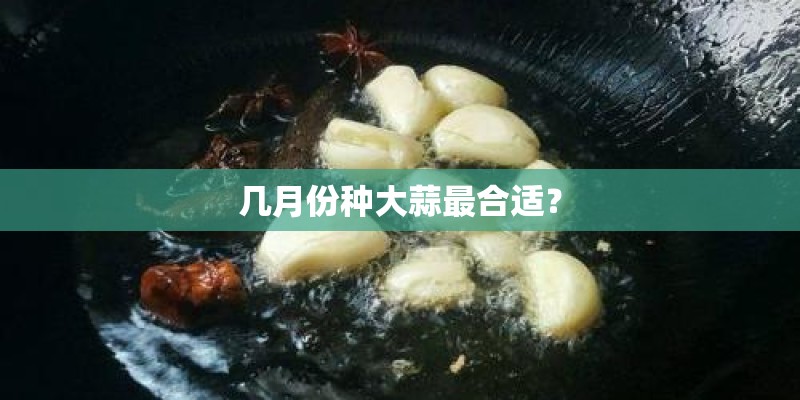 几月份种大蒜最合适? 几月份种大蒜最合适?