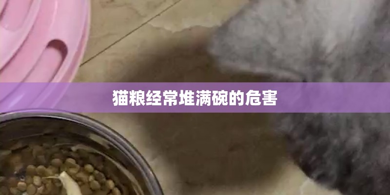 猫粮经常堆满碗的危害 猫粮经常堆满碗的危害