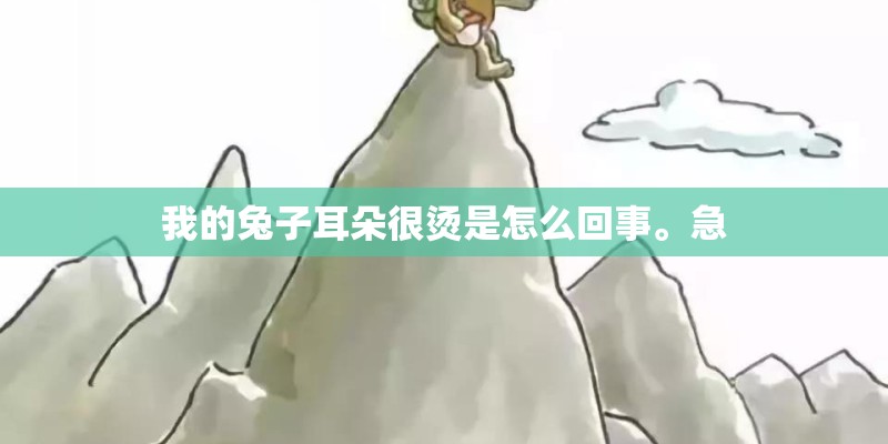 我的兔子耳朵很烫是怎么回事。急